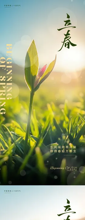 立春节气海报嫩芽二十四天清新