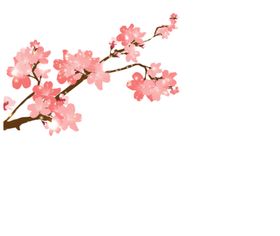 手绘粉色樱花免扣素材图片十里红古风卡通
