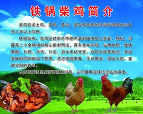 铁锅炖鸡