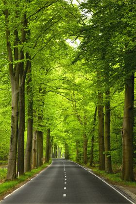 道路山脉高清风景画挂画