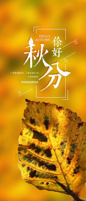 秋分手机海报