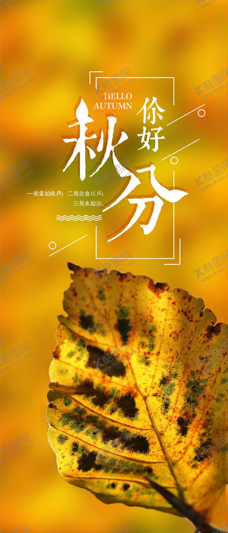 编号：51828105111027128995【酷图网】源文件下载-秋分手机海报
