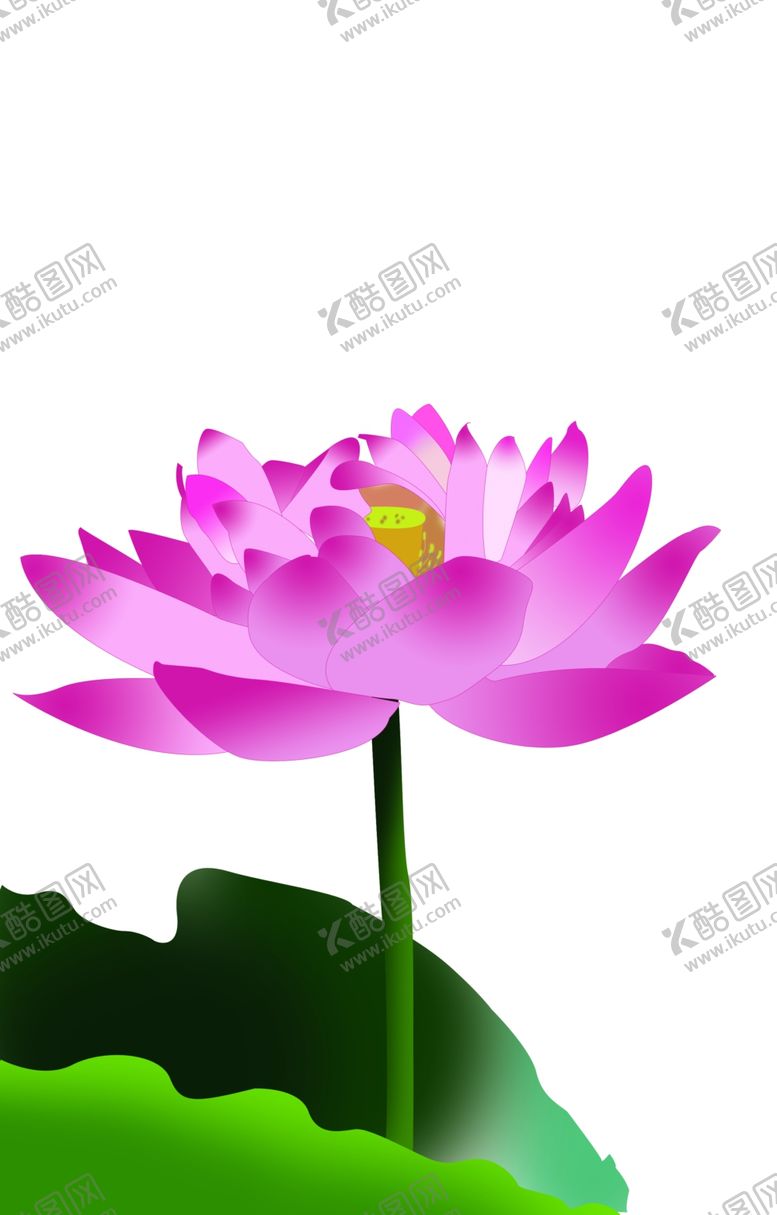 编号：44537202170345181236【酷图网】源文件下载-手绘荷花