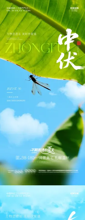 地产大暑清新海报