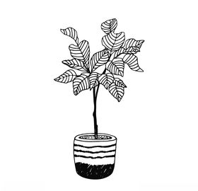 植物线稿