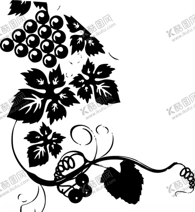 编号：73190909230018007904【酷图网】源文件下载-葡萄图形葡萄叶黑白