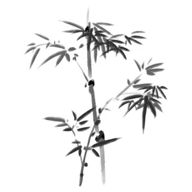 竹子素材