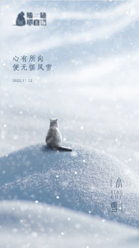 白色时尚高端小雪地产节气展板