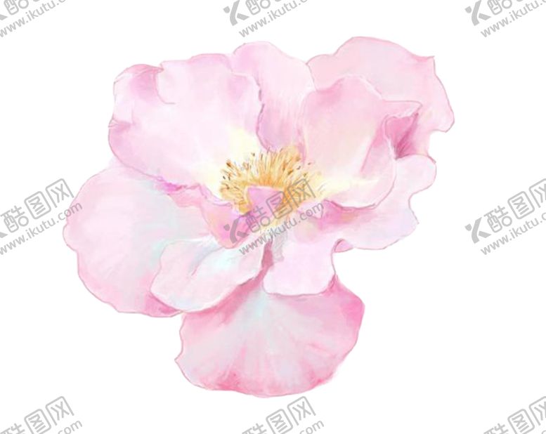 编号：86020602141509433469【酷图网】源文件下载-  手绘粉色樱花免扣素材图片 