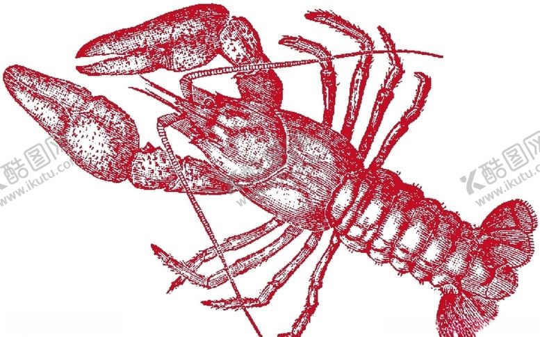 编号：95902909261148573949【酷图网】源文件下载-龙虾
