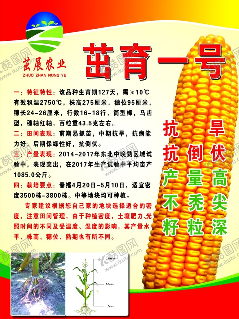 编号：33742806190100001061【酷图网】源文件下载-玉米海报