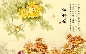 颂芙瑜伽