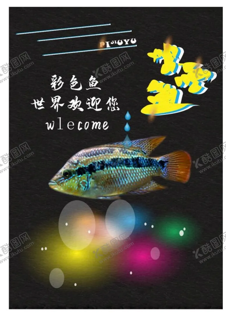 编号：17053410100501462098【酷图网】源文件下载-彩色鱼