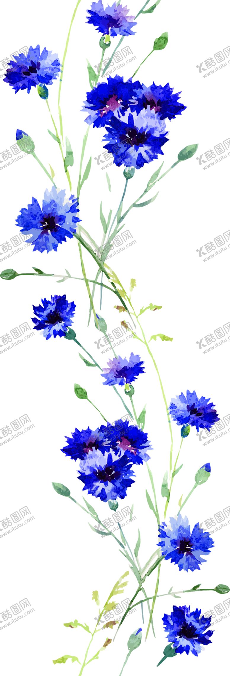 编号：55516505160127202511【酷图网】源文件下载-花素材