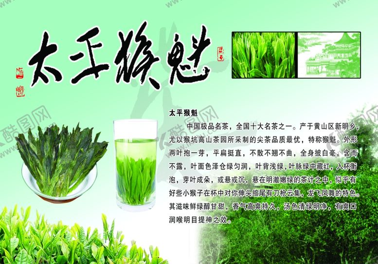编号：29692201260636073027【酷图网】源文件下载-太平猴魁