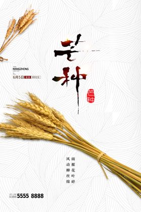 芒种稻田单页农民艺术字