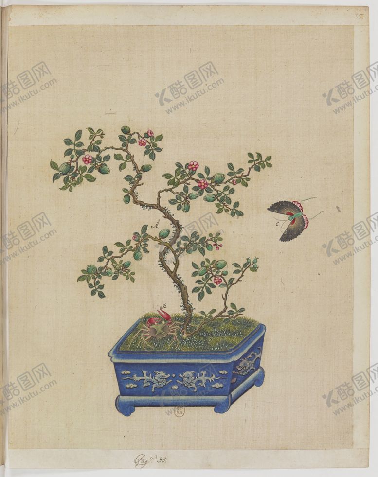 编号：81210509140634394953【酷图网】源文件下载-盆景花鸟