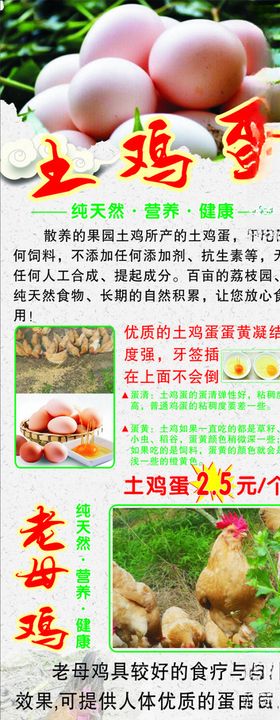 老母鸡和鸡蛋展架