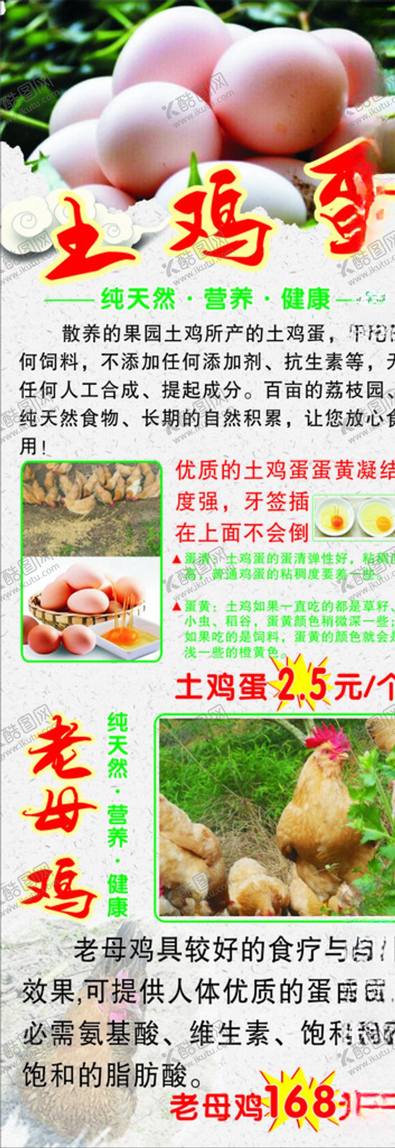 编号：90405904012021324573【酷图网】源文件下载-老母鸡和鸡蛋展架