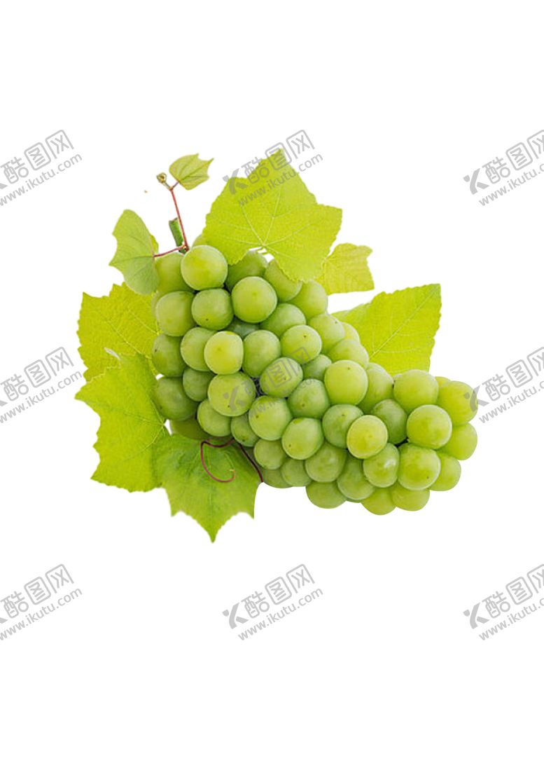 编号：67326609150001465053【酷图网】源文件下载-葡萄