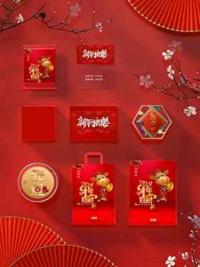 新年礼品包装样机