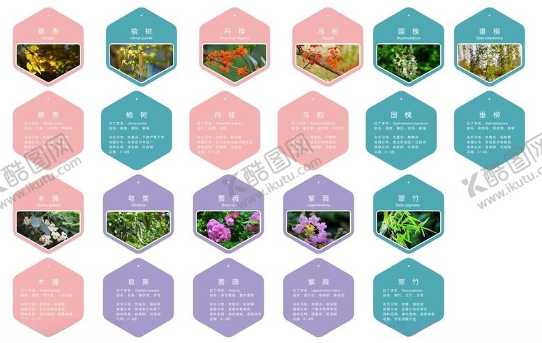 编号：78553612222103586466【酷图网】源文件下载-花草牌