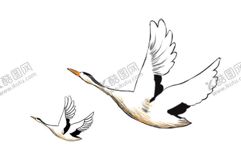 编号：54526710190509543401【酷图网】源文件下载-大雁