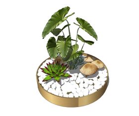 绿色植物小盆栽模型