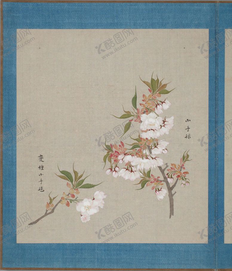 编号：90903804010109364566【酷图网】源文件下载-樱花