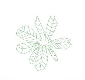 芭蕉插画