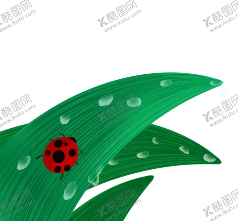 编号：14564203272049545255【酷图网】源文件下载-手绘瓢虫插画