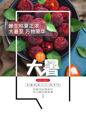 大暑节气海报清新莲花