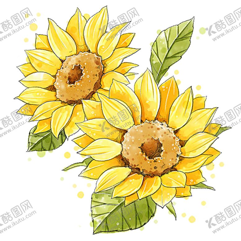 编号：44456410130707157236【酷图网】源文件下载-菊花装饰