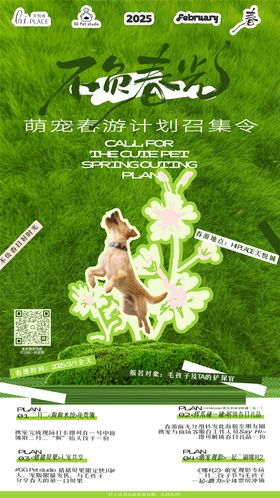 宠物春游海报