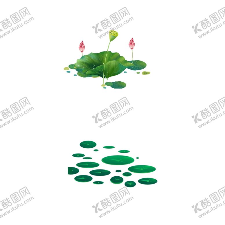 编号：22289905090031339506【酷图网】源文件下载-荷花