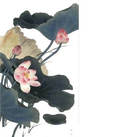 中国风荷叶荷花绘画