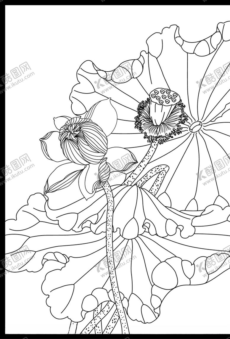 编号：22651407091419111138【酷图网】源文件下载-白描荷花