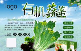 青菜海报