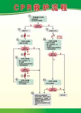 CPR救护流程