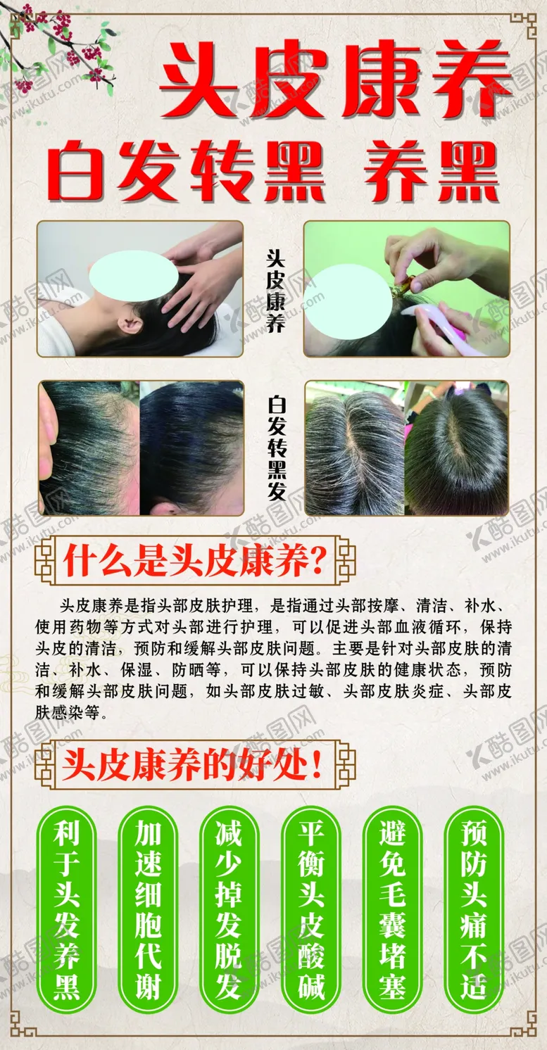 编号：86503902101339155995【酷图网】源文件下载-头皮康养