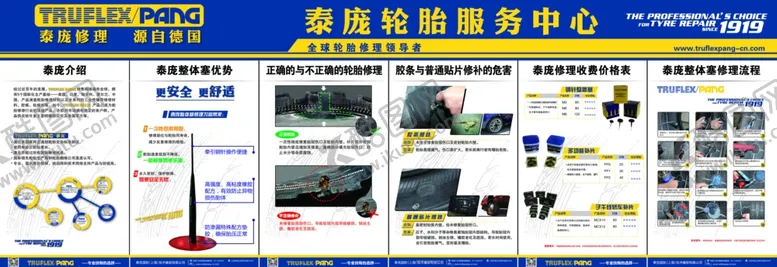 编号：42802806301805588422【酷图网】源文件下载-泰庞轮胎简介展板