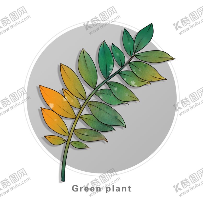 编号：45396709251543497609【酷图网】源文件下载-绿植手绘