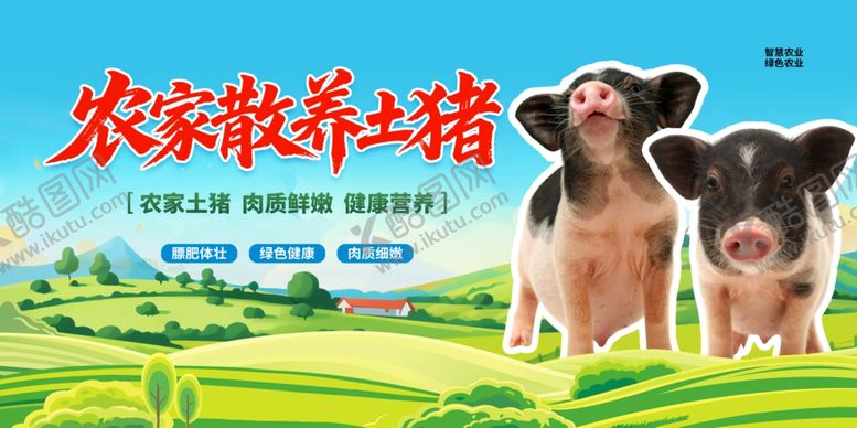 编号：84259012181733528779【酷图网】源文件下载-农家土猪