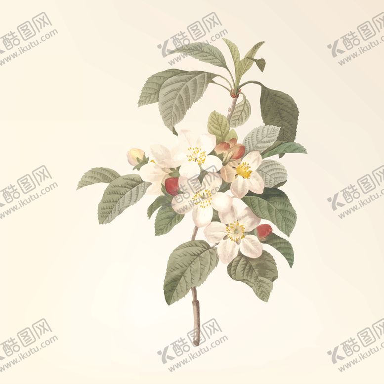 编号：80588809170247264017【酷图网】源文件下载-花纹