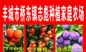 丰城市桥东镇志彪种植家庭农场