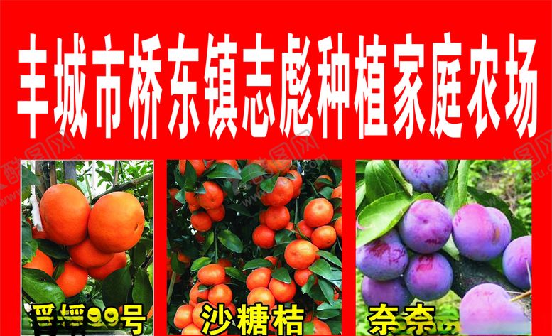 编号：60104805021251592135【酷图网】源文件下载-丰城市桥东镇志彪种植家庭农场
