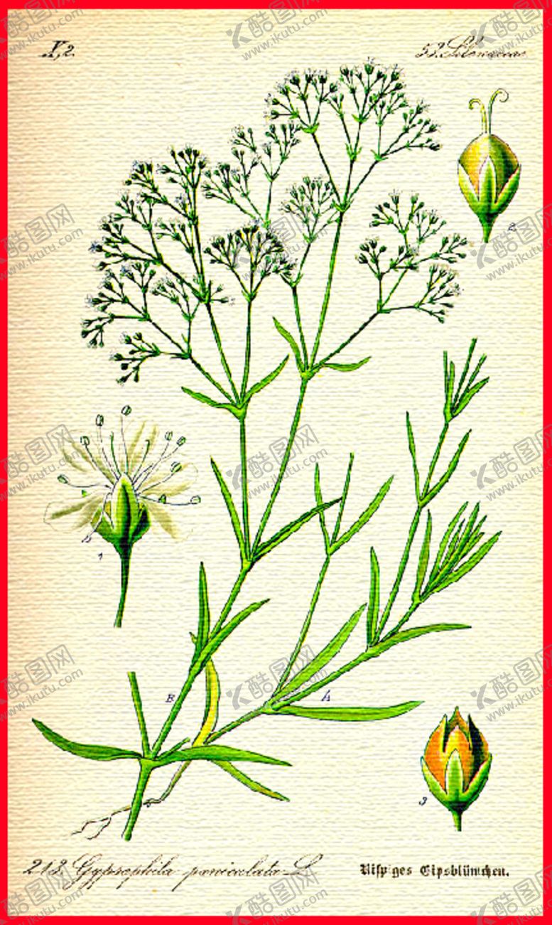 编号：39503810061251566982【酷图网】源文件下载-手绘花朵