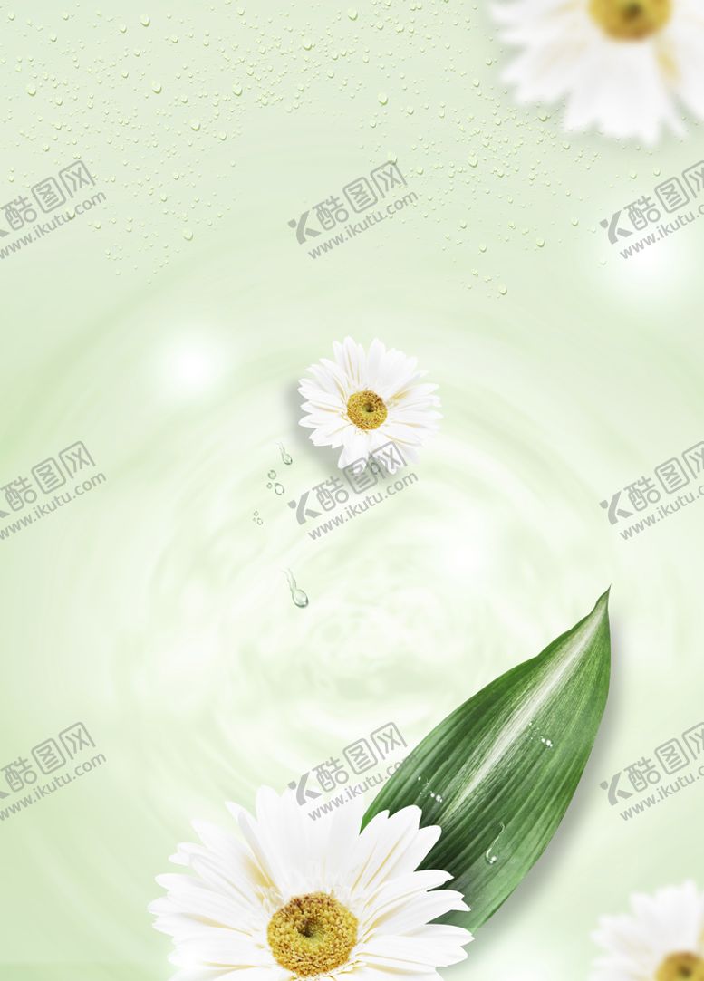 编号：18038110191920487330【酷图网】源文件下载-清新雏菊背景