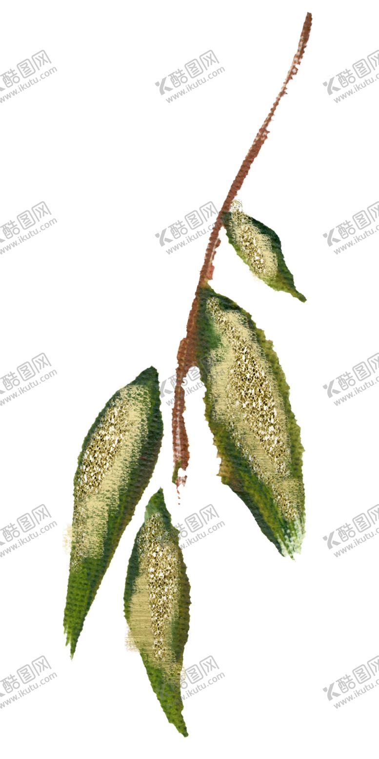 编号：75870802112200429110【酷图网】源文件下载-水彩树叶