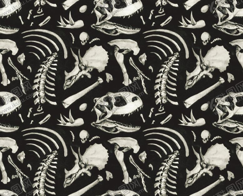 编号：52767609291108214323【酷图网】源文件下载-骨头